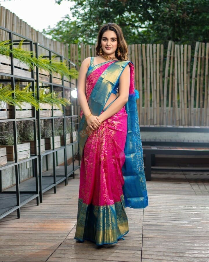 Actress Nidhhi Agerwal Silk Saree Photos