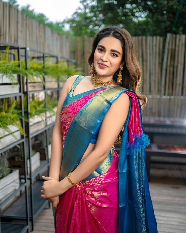 Actress Nidhhi Agerwal Silk Saree Photos