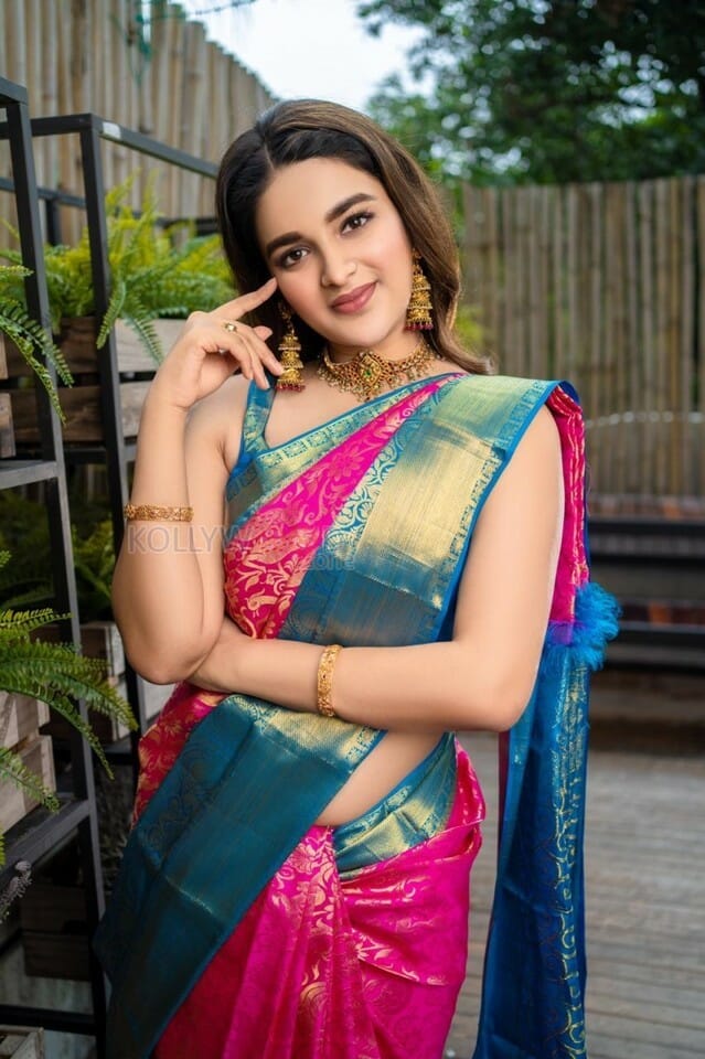 Actress Nidhhi Agerwal Silk Saree Photos