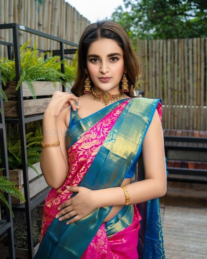 Actress Nidhhi Agerwal Silk Saree Photos