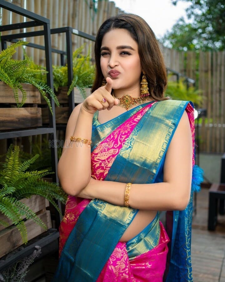 Actress Nidhhi Agerwal Silk Saree Photos