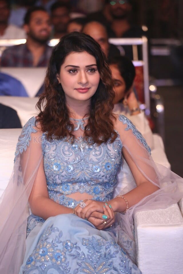 Actress Payal Rajput At Disco Raja Pre release Event Pictures