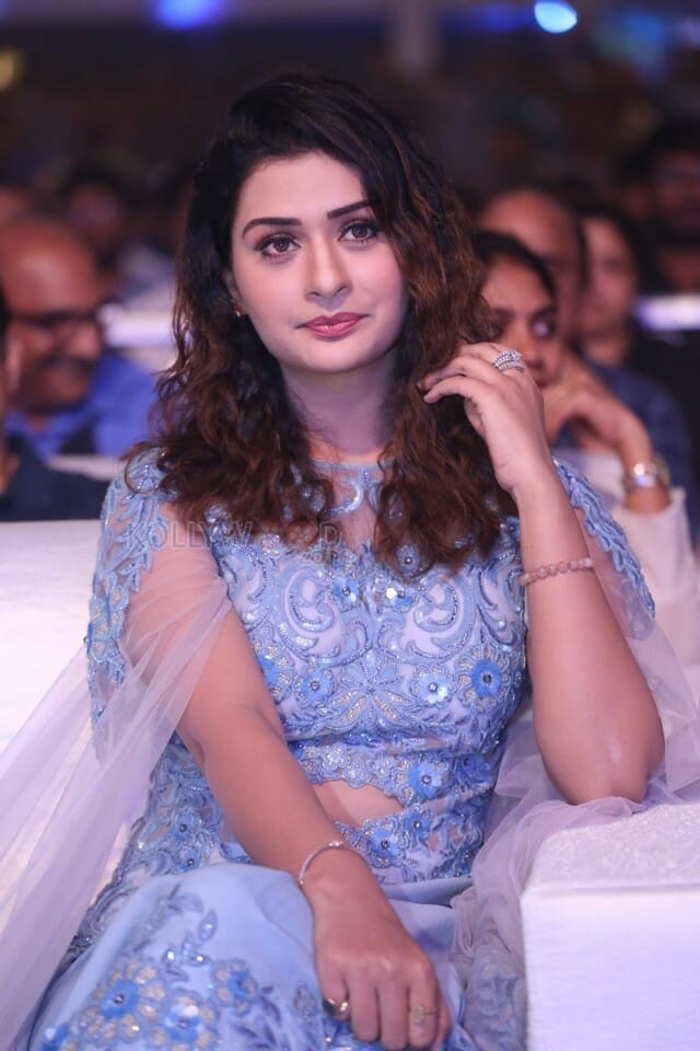 Actress Payal Rajput At Disco Raja Pre release Event Pictures