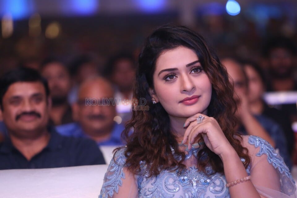 Actress Payal Rajput At Disco Raja Pre release Event Pictures