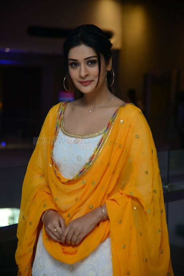 Actress Payal Rajput At Disco Raja Success Meet Photos