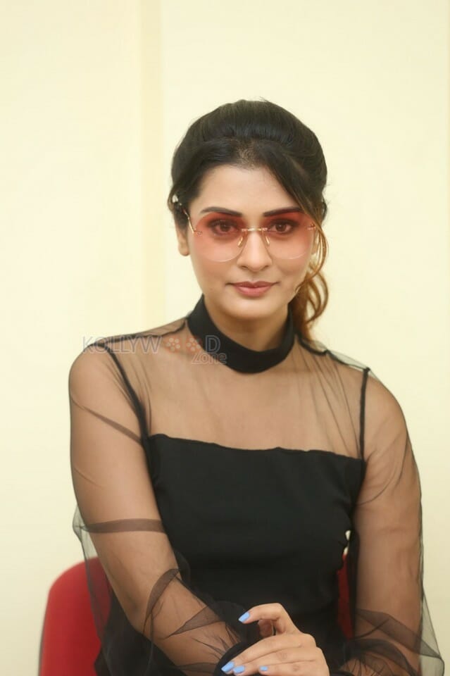 Actress Payal Rajput At Rdx Love Interview Photos