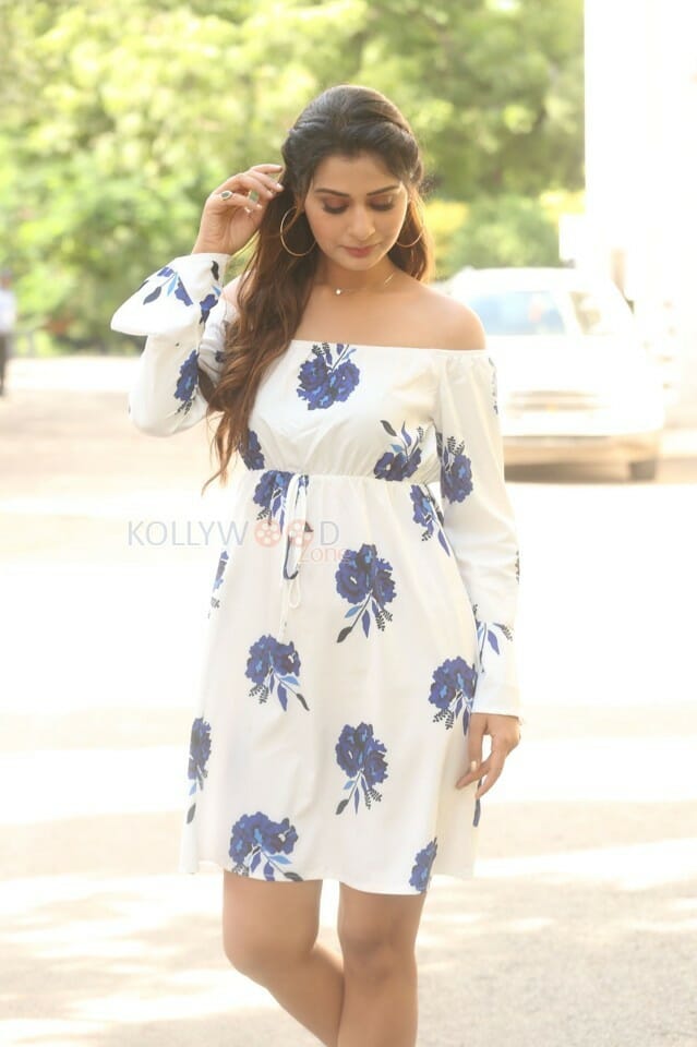 Actress Payal Rajput At Rdx Love Movie Trailer Launch Photos