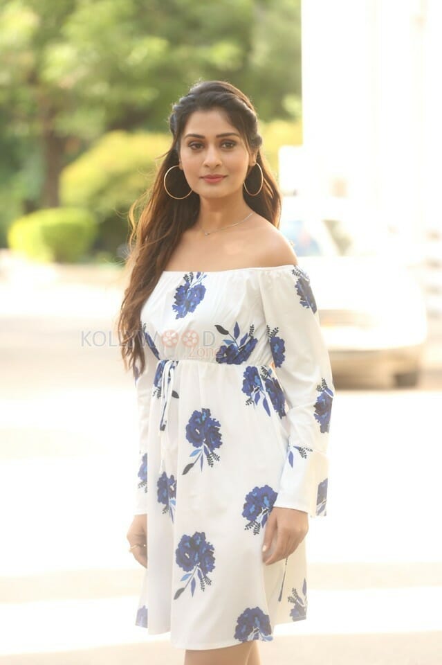 Actress Payal Rajput At Rdx Love Movie Trailer Launch Photos