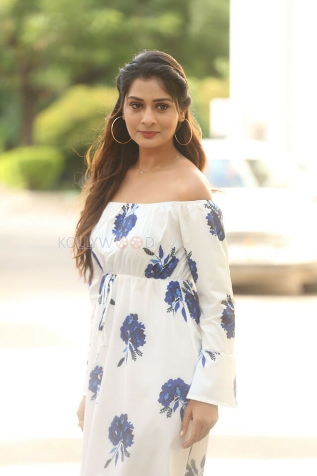 Actress Payal Rajput At Rdx Love Movie Trailer Launch Photos