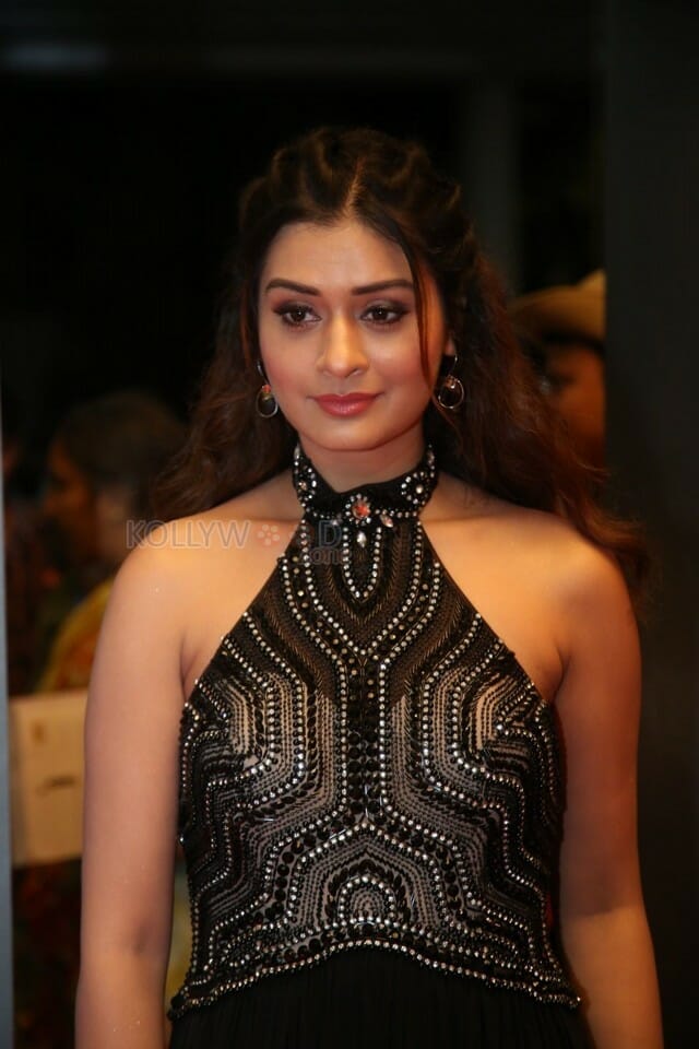 Actress Payal Rajput At Sakshi Excellence Awards Photos