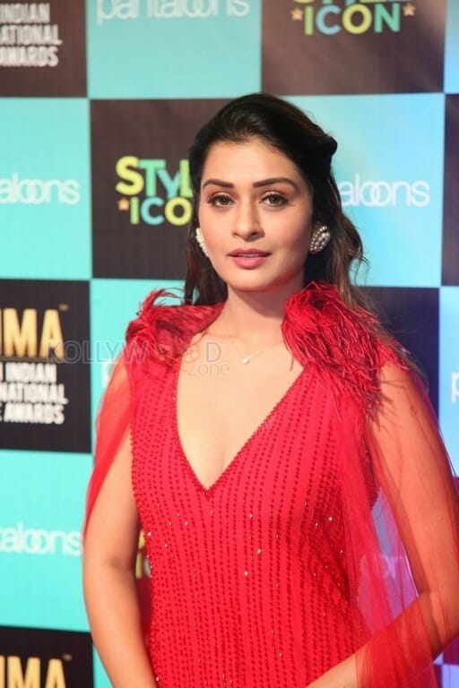 Actress Payal Rajput At Siima Awards Photos