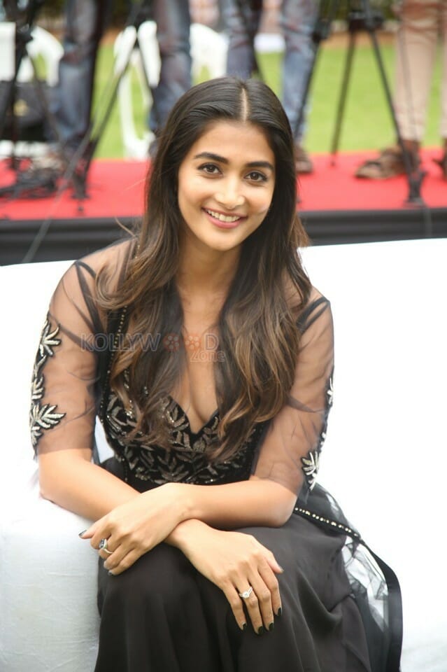 Actress Pooja Hegde At Valmiki Press Meet Photos