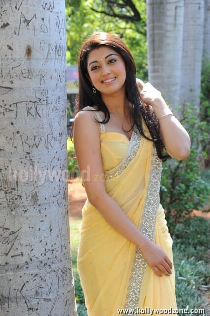 Actress Pranitha Saree Pictures