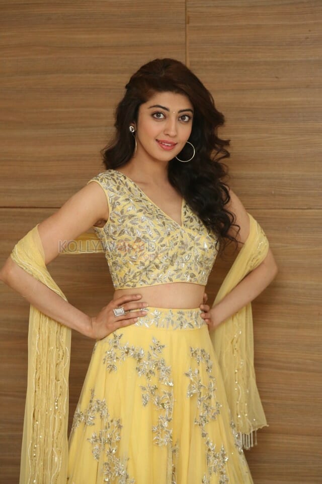 Actress Pranitha Subhash At Hello Guru Prema Kosame Success Meet Photos