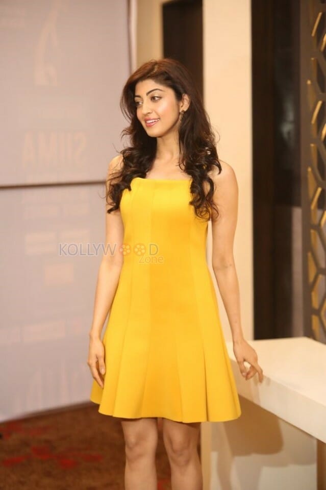 Actress Pranitha Subhash At Siima Th Edition Curtain Raiser Photos