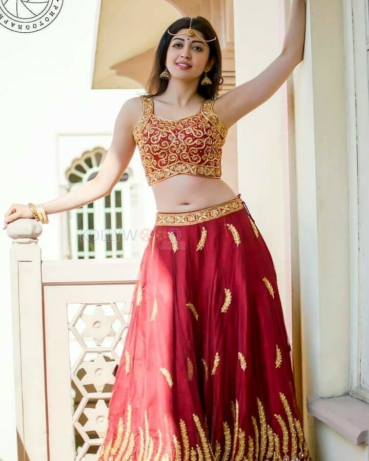 Actress Pranitha Subhash Sexy Navel Photos