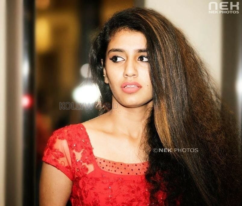 Actress Priya Prakash Varrier Photos