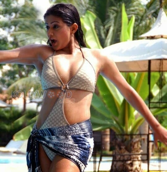 Actress Priyamani Hot Bikini Cleavage Pictures