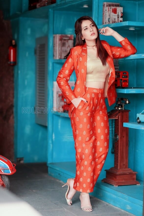 Actress Raashi Khanna Latest Photoshoot Stills