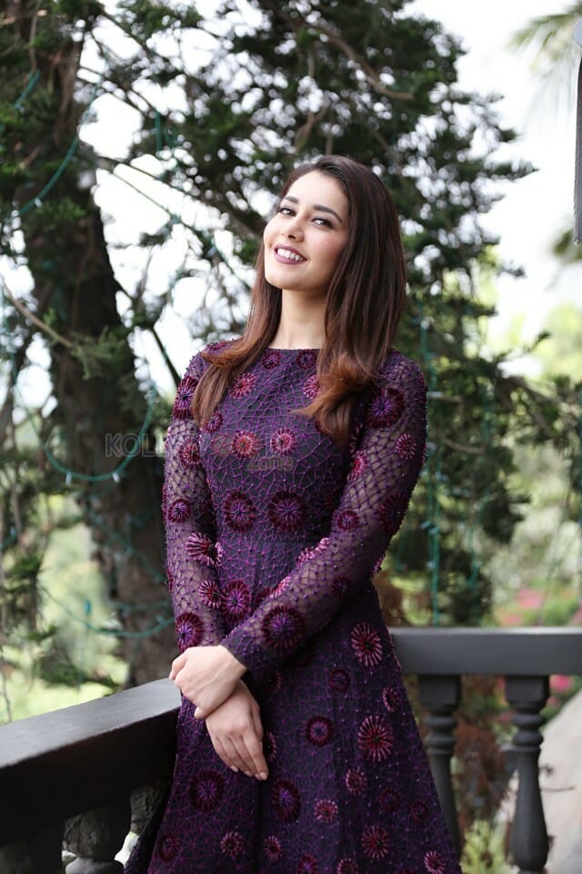 Actress Raashi Khanna Photo Shoot Photos