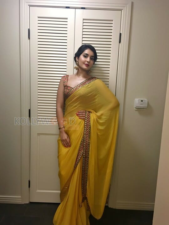 Actress Raashi Khanna Saree Photos