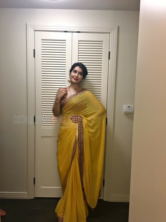 Actress Raashi Khanna Saree Photos