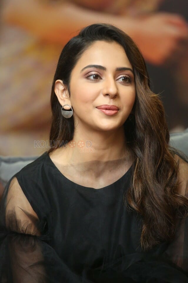 Actress Rakul Preet Singh At Manmadhudu Interview Photos