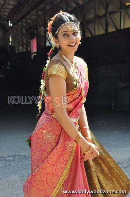 Actress Rakul Preet Singh Traditional Saree Photos