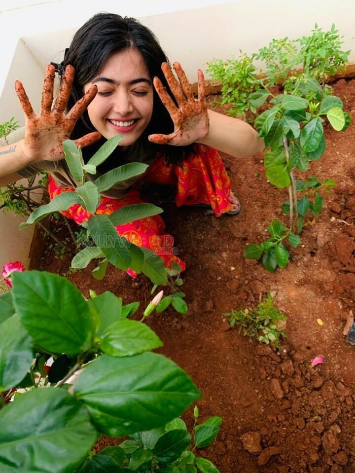 Actress Rashmika Mandana Doing The Akkineni Samantha Challenge Photos