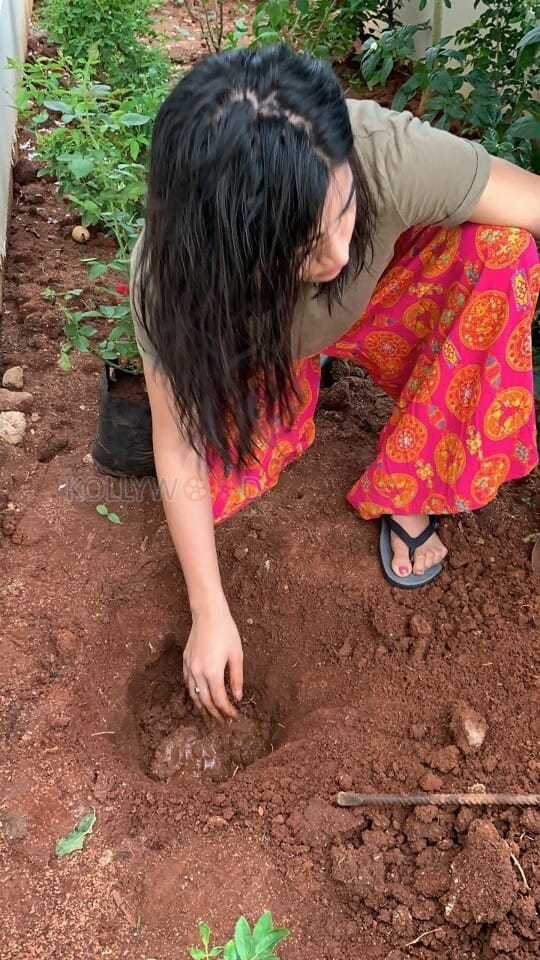 Actress Rashmika Mandana Doing The Akkineni Samantha Challenge Photos