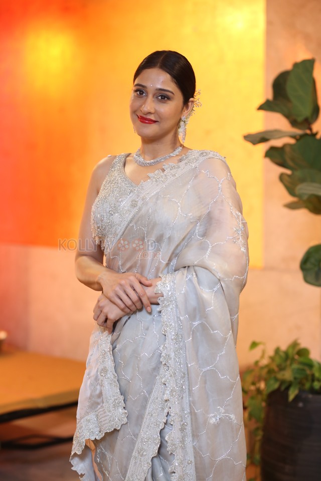 Actress Regina Cassandra at Utsavam Pre Release Event Photos 06