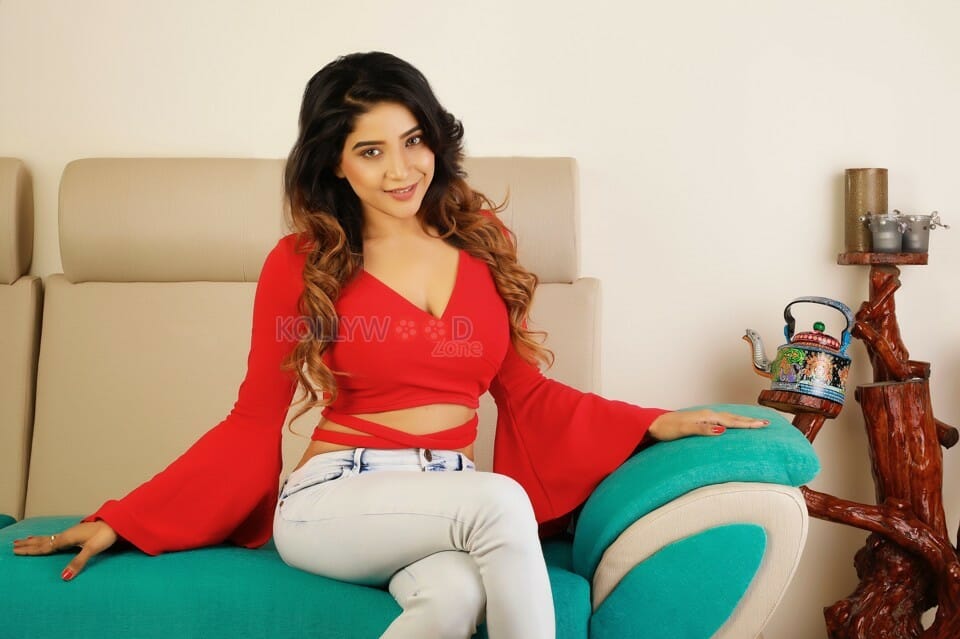 Actress Sakshi Agarwal New Photoshoot Pictures