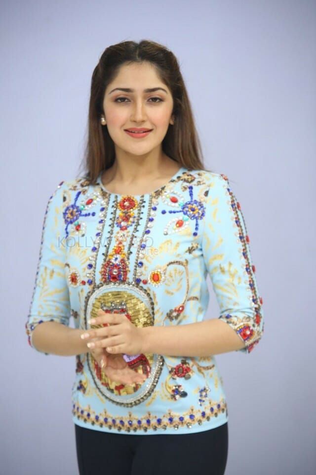 Actress Sayesha Saigal At Chinababu Movie Success Meet Photos