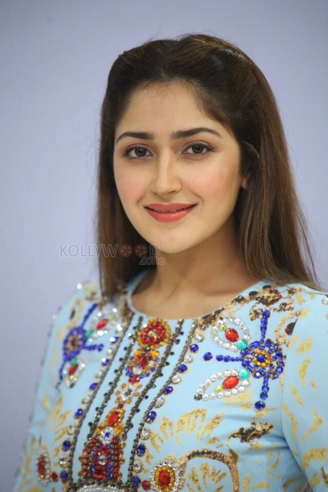 Actress Sayesha Saigal At Chinababu Movie Success Meet Photos