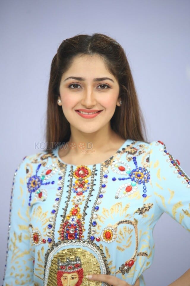 Actress Sayesha Saigal At Chinababu Movie Success Meet Photos