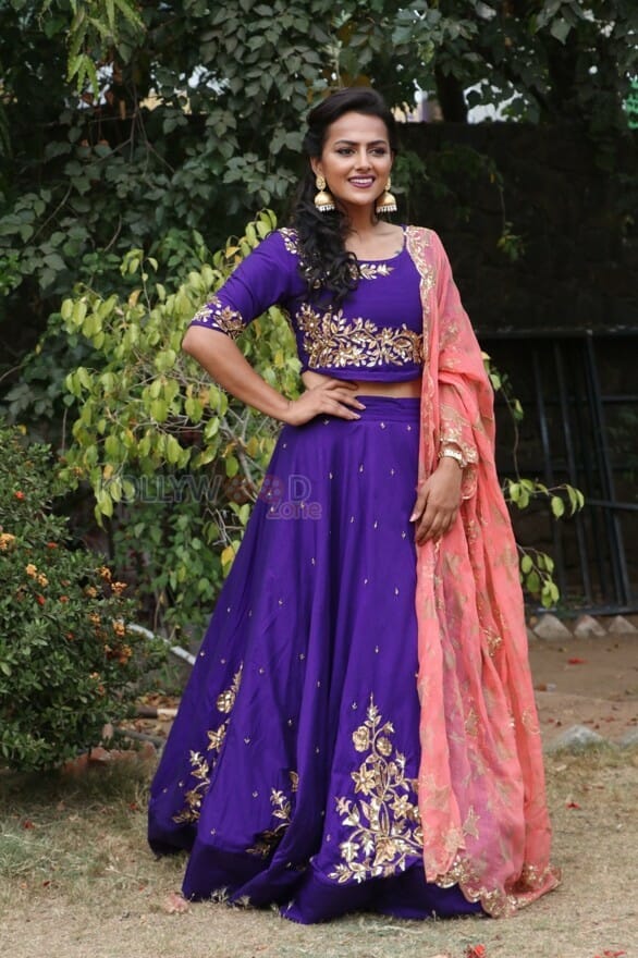 Actress Shraddha Srinath New Photos