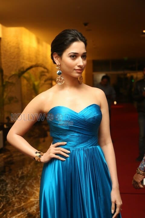 Actress Tamanna Bhatia Sexy At Abhinathri Audio Launch Photos