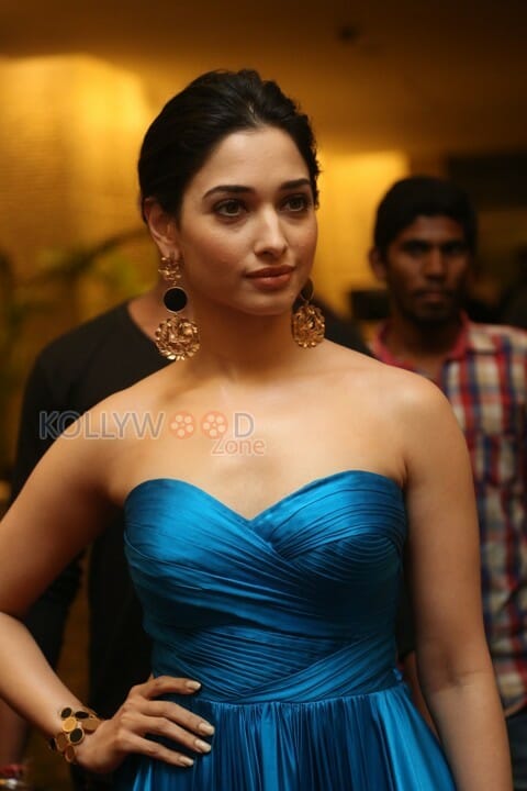 Actress Tamanna Bhatia Sexy At Abhinathri Audio Launch Photos