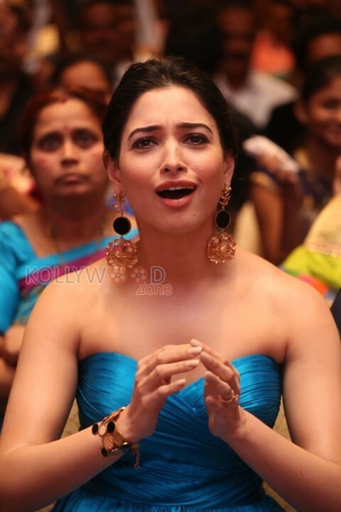 Actress Tamanna Bhatia Sexy At Abhinathri Audio Launch Photos