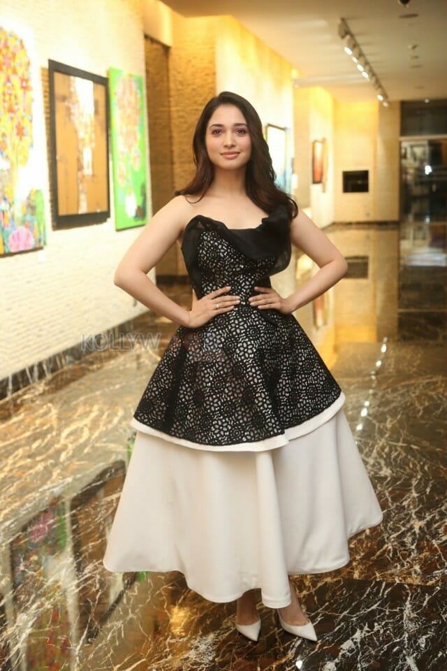 Actress Tamannaah At Naa Nuvve Audio Launch Photos