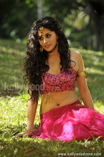 Actress Tapsee Hot Pictures