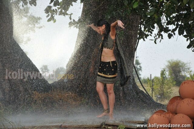 Actress Tapsee Hot Rain Photos