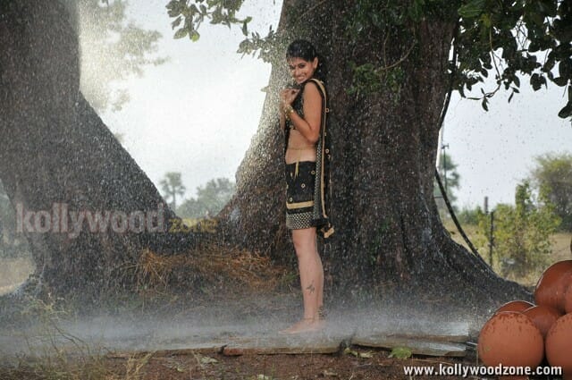 Actress Tapsee Hot Rain Photos