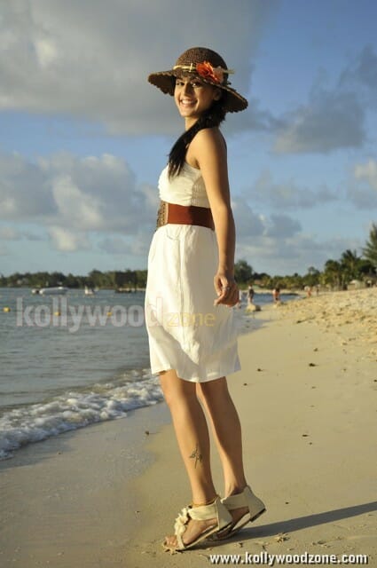 Actress Tapsee Sexy In Mogudu Movie Photos