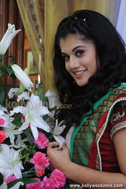 Actress Tapsee Sexy Pictures