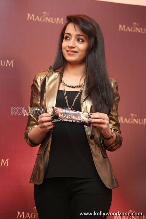 Actress Trisha At Magnum Event Photos