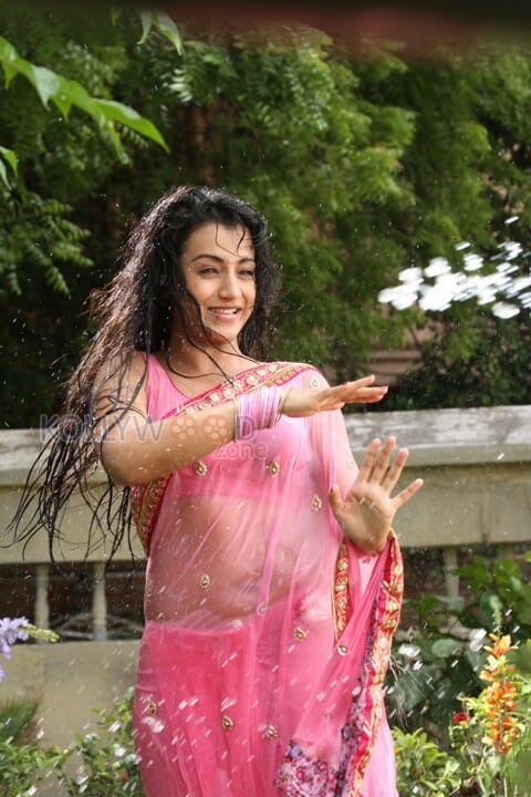 Actress Trisha Hot Wet Saree Sexy Photos