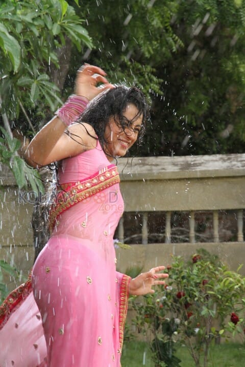 Actress Trisha Hot Wet Saree Sexy Photos