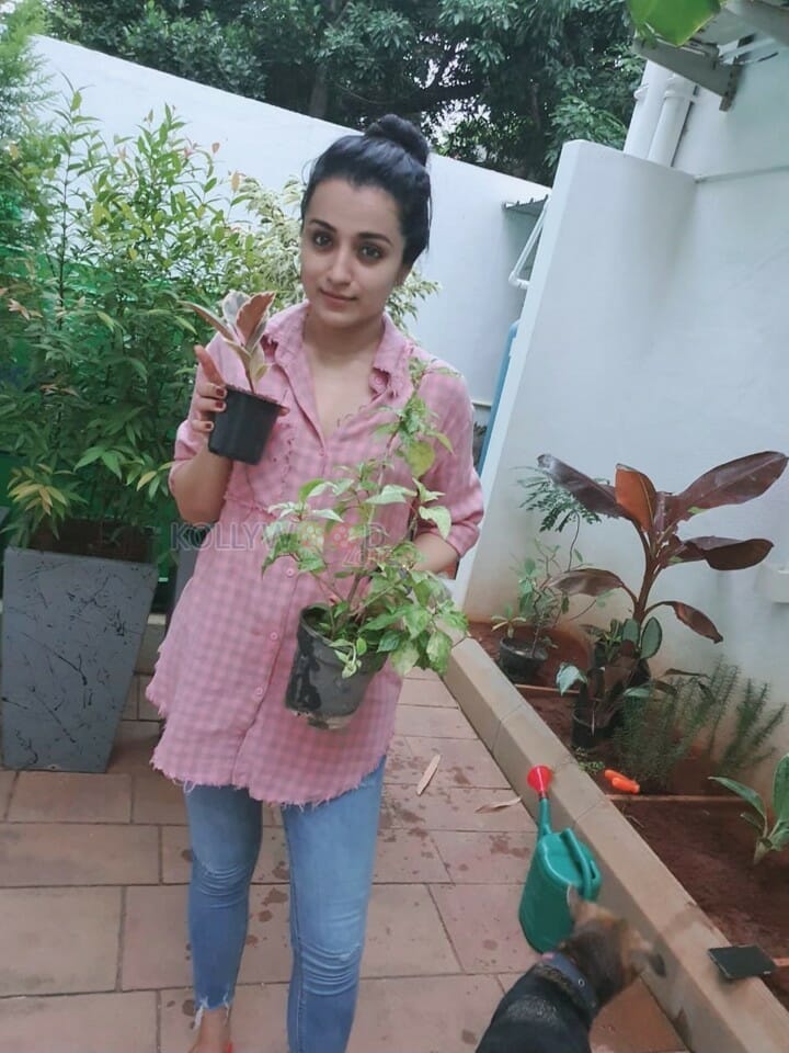 Actress Trisha Krishnan Gardening Photos