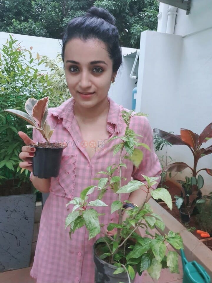 Actress Trisha Krishnan Gardening Photos